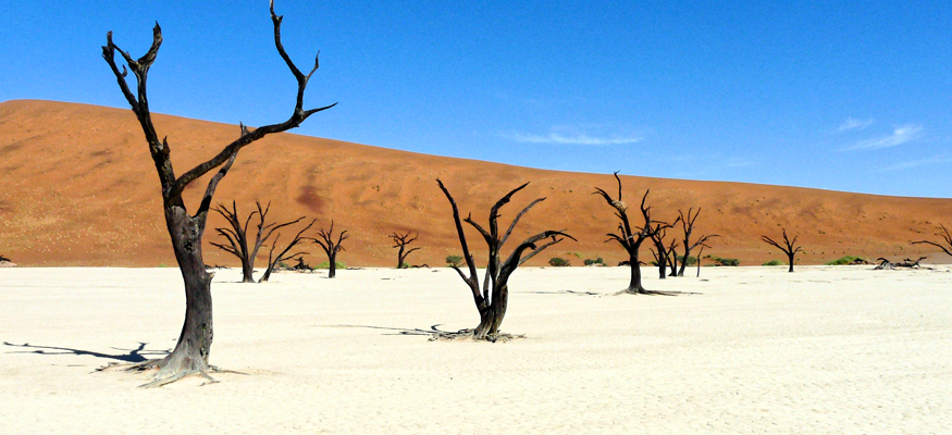 dune de namibie></li>
										
										<li><img src=